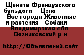 Щенята Французского бульдога. › Цена ­ 45 000 - Все города Животные и растения » Собаки   . Владимирская обл.,Вязниковский р-н